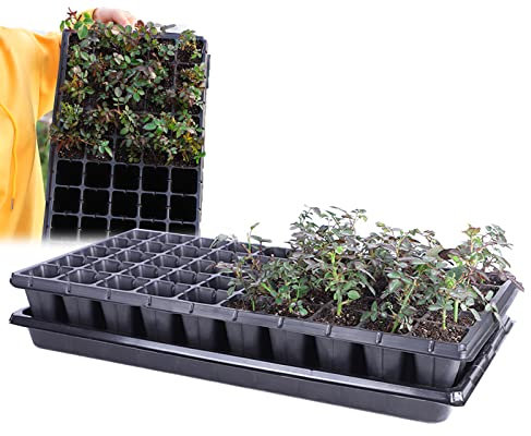 KDXYSL 5 Pièces 50 Cellules Plateaux de Semences Bac à Semis Mini Serre pour Semis Plateau de Germination Plateaux Graines Culture pour Jardin Légume Fruit Fleurs