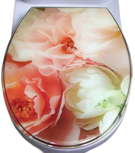 Toilettensitz Aus Kunstharz, Klodeckel mit Absenkautomatik, Verdickte Toilettensitze, Schnellverschluss, Leicht Zu Reinigen, Toilettendeckel