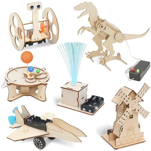 FEMBW Esperimenti per Bambini da 8 9 10 11 12, 6 PCS Bambini kit di Costruzione, Robot Giocattolo Fai da Te, Kit di Esperimenti, Kit di Costruzione in Legno 3D, Regali da 8-14 Anni Ragazzi