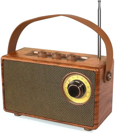 COLSUR Radio FM portatile Vintage,Altoparlante bluetooth portatile Retro Piccola con Radiolina Bluetooth,Cassa portatile Bluetooth con Batteria Ricaricabile,Supporta TF/USB,per Casa,Cucina,all'aperto