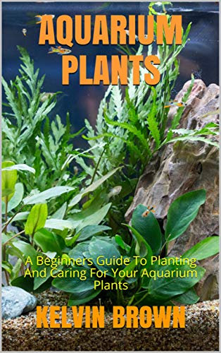 AQUARIUM PLANTS: A Beginners Guide To Planting And Caring For Your Aquarium Plants