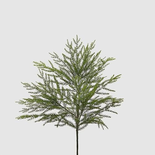EDG Enzo De Gasperi Cryptomeria Arbusto Navidad L 66 cm Verde