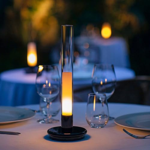 LOGT Lampe de Table LED Rechargeable Fonctionnant sur Batterie Rechargeable par USB Lumière de Bougie Lampe de Table Noire 3000K Dimmable Lumière de Chevet Intérieure Abat-jour en Acrylique Veilleuse