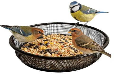 Bandeja para Aves | Plato de Malla para Alimento,17,5×16,3×3,3cm s de Metal Resistente a la Oxidación para Pinzones - para Interior Exterior Jardín Parque Balcón Patio Terraza