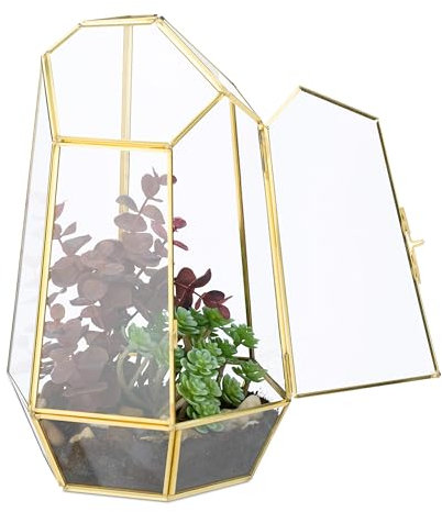 Relaxdays Terrario Piante, Mini Serra in Vetro e Rame, HLP 26x18x15 cm, Piantine Grasse e Muschi, Vaso Ecosistema, Oro
