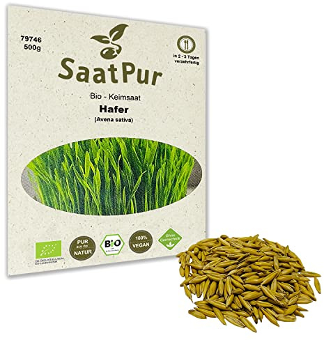 500g BIO Keimsprossen Hafer Hafergrassaft Samen Microgreens Mikrogrün Sprossenanzucht Sprossensaat