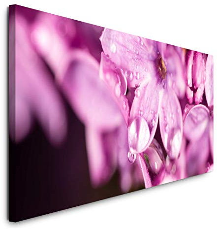 Paul Sinus Art GmbH Blumen in pink 120x 50cm Panorama Leinwand Bild XXL Format Wandbilder Wohnzimmer Wohnung Deko Kunstdrucke