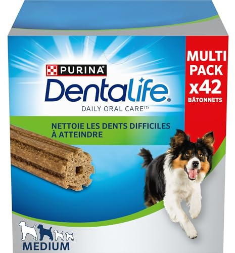 DENTALIFE | DAILY ORAL CARE | Friandises | Pour Chien Adulte de Taille Moyenne | Aide à nettoyer les dents efficacement | Action nettoyante naturelle | Sachet | Lot de 1 x 42 bâtonnets à mâcher