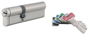 THIRARD - Cylindre de Serrure Double Entrée Transit 2 - Nickel - Très Haute Sécurité - Anti-Arrachement, Anti-Perçage, Anti-Crochetage, Anti-Snap - 40 x 60 mm - Gris - 5 Clés Plates Réversibles