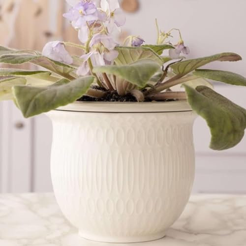 Vasi di viola africana autoirrigante, in ceramica bianca e argilla dolomitica, vaso facile e senza sforzo per piante da interno, erbe, fiori, orchidee, piante grasse, ideale come regalo di