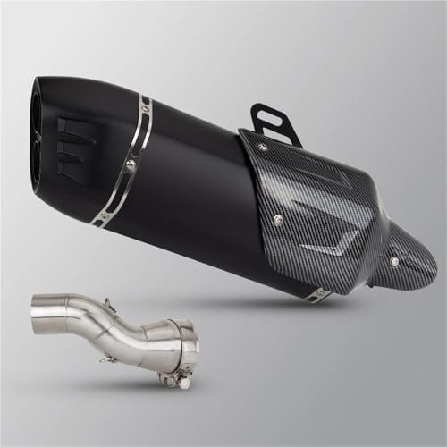 Silenziatori Tubo Tubo Di Scarico Marmitta Per Moto Per BMW R1200GS R1200RS R1250RS R1250GS ADV R 1200 1250 GS RS Collegamento Centrale A Doppio Foro Moto Scarico Terminali(Colore 2)