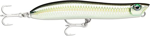 Rapala - Angelköder MaxRap Walk'N Roll - Angelzubehör, Robuster ABS-Körper - Schwimmend - Lauftiefe: Oberfläche - Größe: 10cm / 13g - Hergestellt in Estland - Bleak
