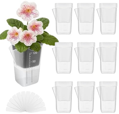 für Zimmerpflanzen im Haus - 10 Stück Transparente Selbstbewässernde Töpfe | Kleine Selbstbewässernde Töpfe für Innen,für Stecklinge Sämlinge Usambaraveilchen Alocasia Balkon Garten Fensterbank