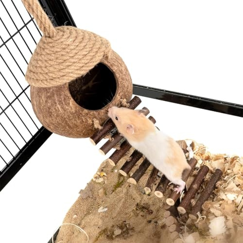 ZYYRSS Coconut Bird's Nest with Ladder, Natural Reptile Hideouts Bird Coconut Shell Coconut Hide for Reptiles, Bird, Small Animal