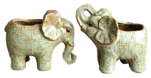 Bafnsiji 2 stücke Keramik Blumentöpfe, Keramik Kleine Sukkulente Töpfe, Kleine Elefant Bonsai Töpfe, Kleine Pflanze Blumentopf mit Abflussloch, Keramik Mini Pflanzer