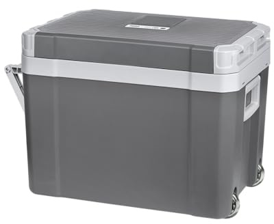 Teesa - Auto Wanderkühlschrank 230V/12V Heiz- und Kühlfunktion 35 Liter Griff TSA5006.1