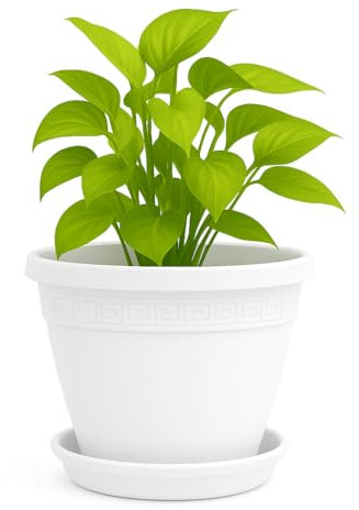 TECHZOCO Macetero con Plato, Maceta Redonda clásica de plástico con Plato, Tiesto para Plantas, Fabricado en Polipropileno, 24 cm Altura x 30 cm Diámetro Superior x 18.1 cm Diámetro Base, Blanco.