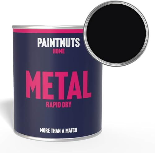 Paintnuts Black (RAL-9005) Rapid Dry Metal Paint, Gloss Finish 250ml