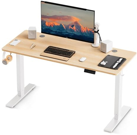 HOMAVO Höhenverstellbarer Schreibtisch 120x60cm,Schnelles Laden USB-A/Typ C,Elektrischer Schreibtisch mit Memory- und Rebound-Funktion(70–119 cm)