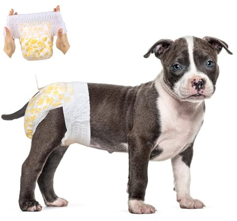 Flying Paws Hunde Windeln, 15 Stück M Anziehbare Einweg-Hundewindeln für Hündinnen - Rüdenwindeln mit dehnbarem Bund M-15