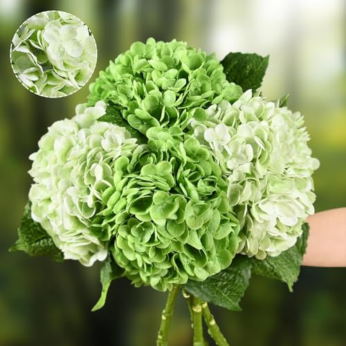 Waipfaru - 4 hortensias artificiales de látex de tacto realista, 53,34 cm, para ramo de boda, decoración del hogar, centros de mesa, 2 verde claro y 2 verde oscuro