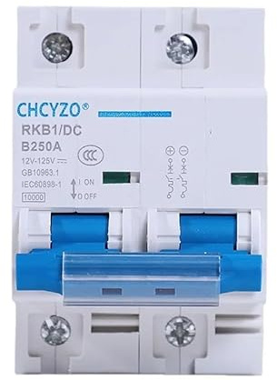 Modularer Schutzschalter,LS-Schalter, DC Circuit Breaker 2P Miniature Protection Switch 12v-125v 80A/100A/125A/150A/200A/250A Solar Battery(250A)