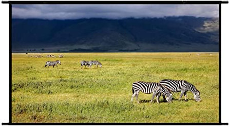 Geruwam Schermo per proiettore da esterno da 130, pieghevole, 16:9, manuale, montaggio a parete, plastica, materiale poliestere, opaco, superficie ad alto guadagno