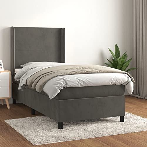 Iiaky Boxspringbett mit Matratze Betten Matratze Bett Mit Matratze Boxspringbett Mit Bettkasten Dunkelgrau 80x200 cm Samt - 3132526