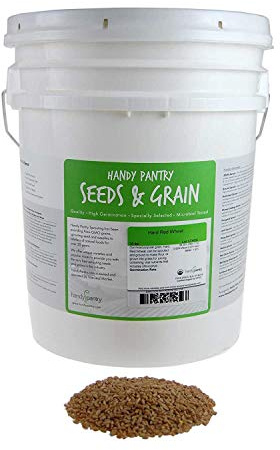 Organic Hard Red Wheat Seed: 35 Lb - Handy Pantry Brand - Grow Wheatgrass, Flour, Grain & Bread, Emergency Food Storage, Ornamental Wheat Grass - Non-GMO, Sprouting Wheat Berries - High Germination