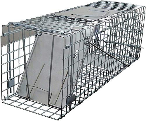 PestExpel® Live Catch, Rabbits, Squirrels, Mink, Vermin,Animal Folding Cage Trap (Medium)