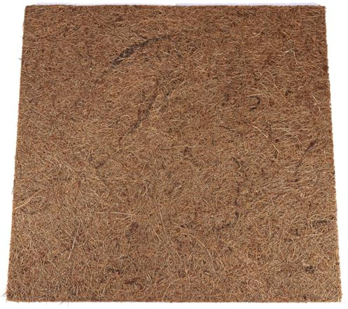 Reptiles Planet Rückwand für Reptilien/Amphibien Jungle Coco Background 30 x 30 x 1 cm