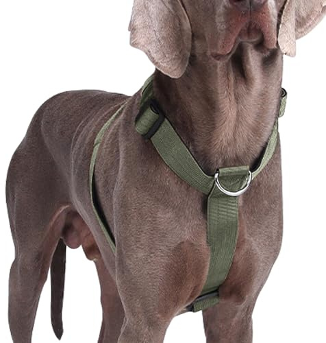 Hundegeschirr Mittelgroße Grosse Hunde, Taktisches Hundegeschirr Ausbruchsicheres, Gepolsterte Anti Zug Brustgeschirr Weich Verstellbares Dog Harness für Hunde Alltag und Training (Grün, M)