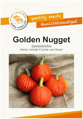 Bobby-Seeds Kürbissamen Golden Nugget Portion