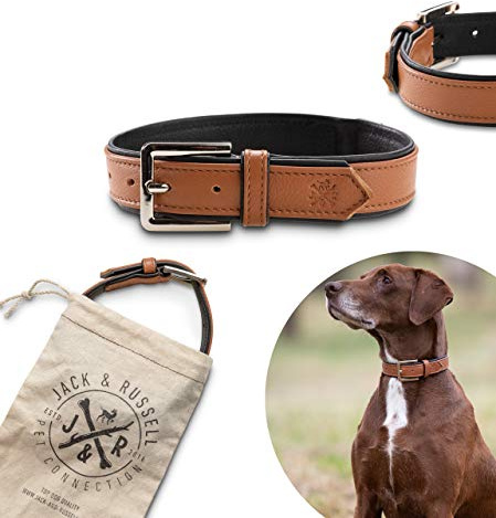 Jack & Russell Premium läder hundhalsband Lilly – läderhalsband kalbleder – hundhalsband äkta läder Lilly (XS, brun/svart