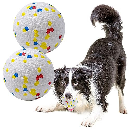LIEVUIKEN Dog Balls Toys for Aggressive Chewers (2 PCS)