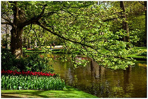 Wallario Glasbild Bunte Blumen im Park am Wasser - Frühblüher am Ufer - 60 x 90 cm Wandbilder Glas in Premium-Qualität: Brillante Farben, freischwebende Optik