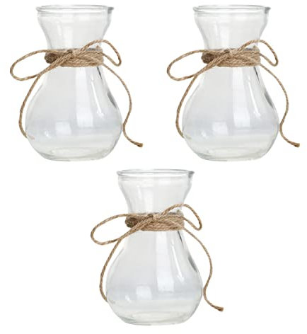BESPORTBLE Vase en Verre Transparent Hydroponique pour Plantes D'intérieur, Lot De 3 Pièces, Récipient à Fleurs en Verre De Style Simple, Décoration Maison Et Bureau