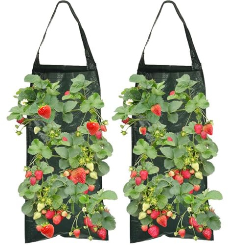 TRLREQ Paquete de 2 bolsas para plantas de fresa con 8 agujeros, bolsa transpirable duradera con asas para plantas, hierbas y flores