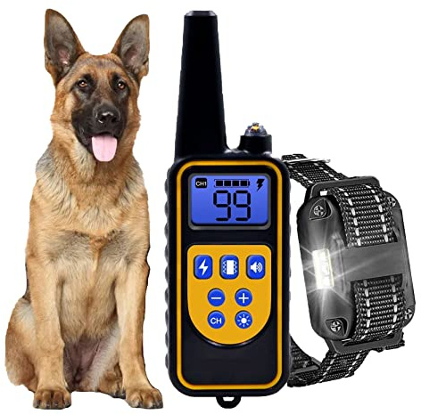 Generisch Agility-Ausrüstung,2026Erziehungshilfen,Ideal auch für Agility-Training.Praktische Hundeerziehungshilfen, Für alle Hundetypen geeignet (r1)