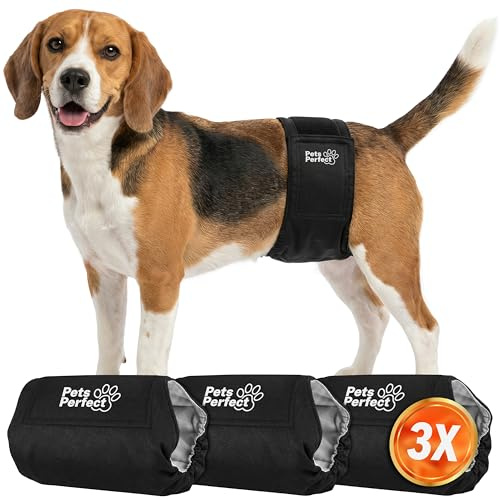 Pets Perfect Hundewindeln für Rüden – Wiederverwendbare Windeln für Hunde, hoch absorbierende 5-Lagen Hunde Windeln Rüden, waschmaschinenfest, verstellbar mit Klettverschluss
