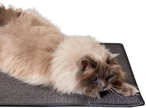 Natürliche Katzenkratzmatte für Katzen - Anthrazit 80 x 150cm (Rechteckig) | Rutschfeste Kratzmatte langlebiger Kratzteppich robust für Boden Kratzfläche Sisal für Möbelschutz Kratzunterlage