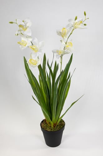 Seidenblumen Roß Orchidee Cymbidie mit Blätter 56cm im Topf DP künstliche Blumen Pflanzen Kunstpflanzen Kunstblumen (Weiß)