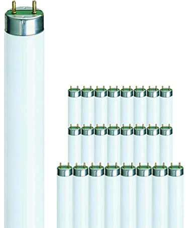 Philips Fluorescent Lighting T8 Fluoresent Tube 58w G13 White 16000 Hours