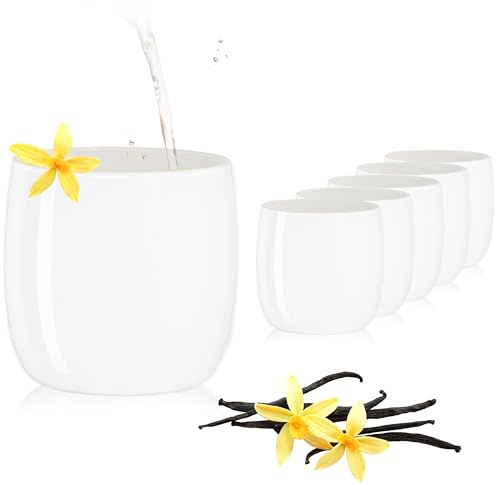 PLATINUX Lot de 6 verres blancs élégants en verre de 260 ml (maximum 320 ml) - Verres à eau, à jus et à whisky