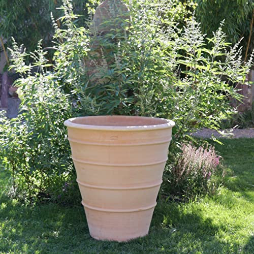 Palatina Werkstatt Pot de fleurs Yucca en terre cuite 80 cm – Fabriqué à la main – Pièce unique – Décorez votre maison avec ce pot de fleurs résistant à l'hiver pour l'intérieur et l'extérieur