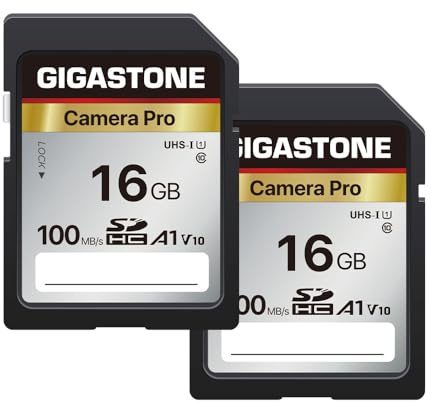 GIGASTONE 16GB SDHC Speicherkarte 2er-Pack, Kamera Pro, bis zu 100 MB/s, für Digitalkameras Canon Olympus, A1 V10 UHS-I U1 Klasse 10 Full HD Video