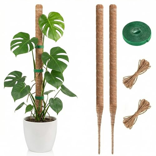 2 Stück Pflanzenstütze Staudenhalter,60CM Monstera rankhilfe, Pflanzenstielhalter Pflanzen Stütze mit Zubehör,Pflanzenstütze für Monstera Stab Kletterpflanzen im Innenbereich