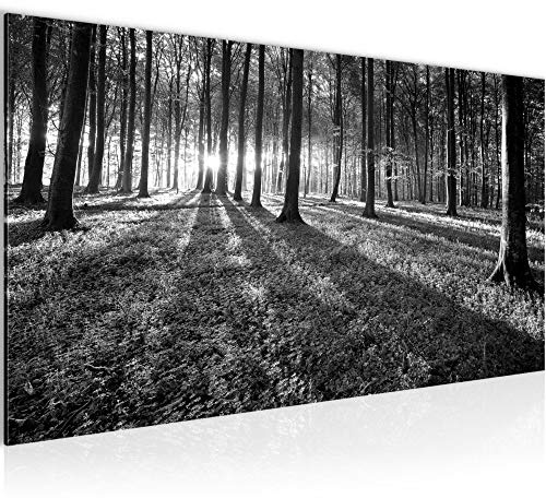 Runa Art Wandbild Wald Landschaft 1 Teilig 100 x 40 cm Modern Bild auf Vlies Leinwand Sonne Schlafzimmer Wohnzimmer Schwarz Weiss 605712c