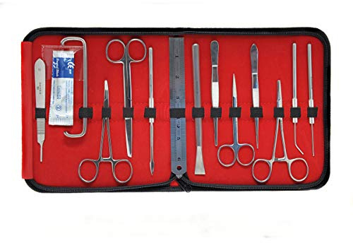 3B Scientific Präparierbesteck DS14