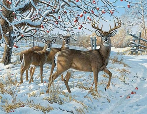 Diamant Painting Bilder Schneeglöckchen Hirsch Basteln Erwachsene Wand Dekor, 5D Diamond Painting Full Drill Diamant Dots Art Embroidery Craft Set Kreuzstich Diamond Painting Zubehör 20x30cm I-11865